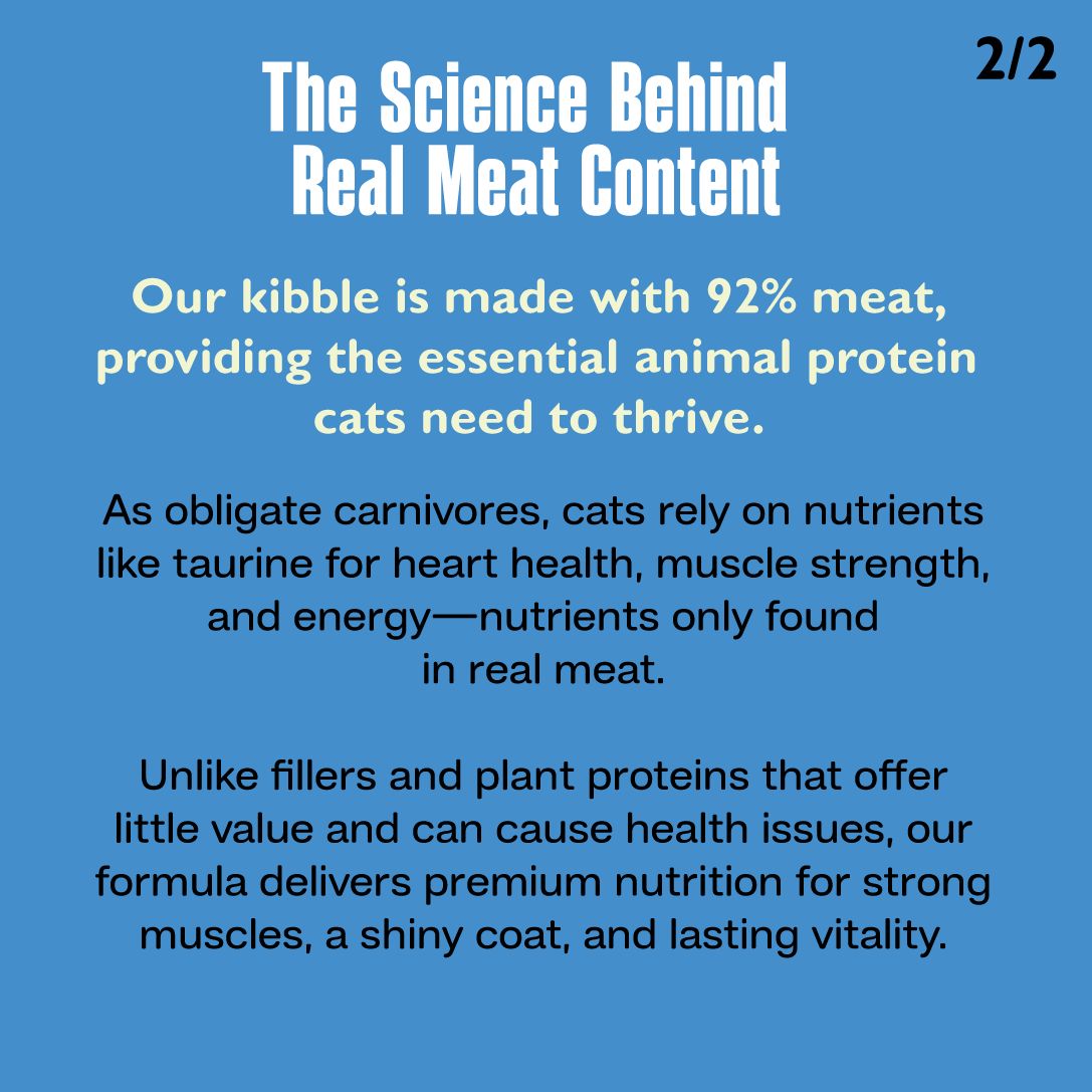 Ancestral Diet Cat Kibbles