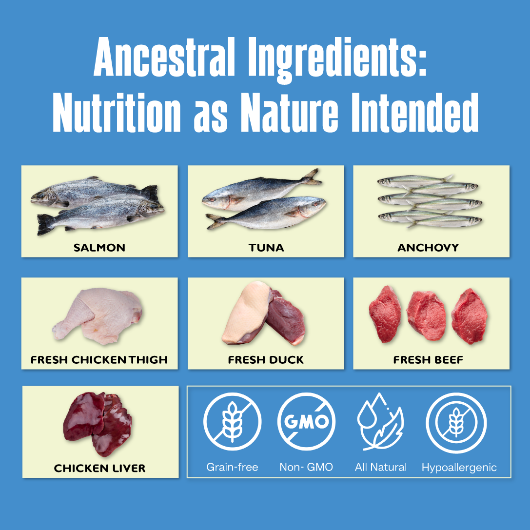 Ancestral Diet Cat Kibbles