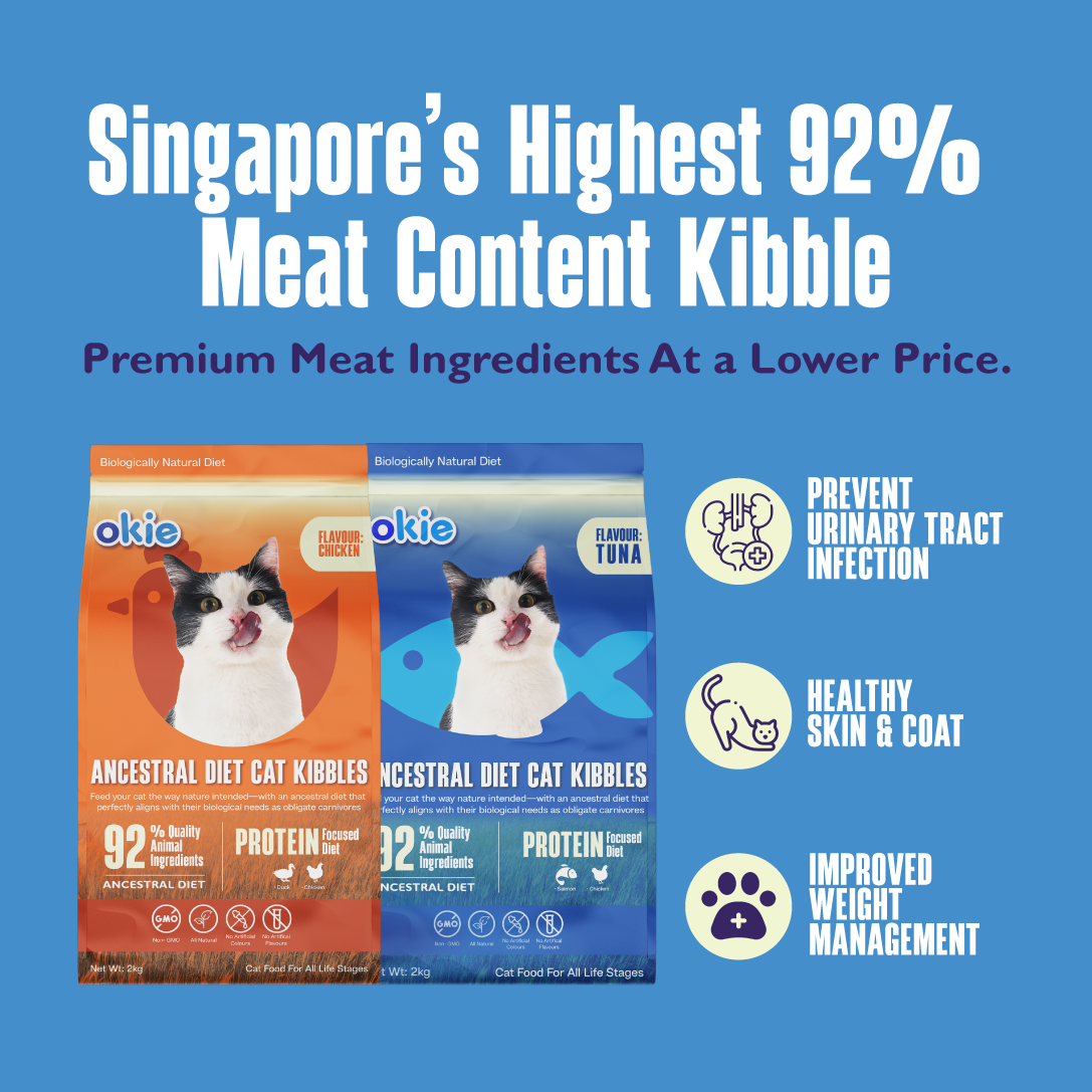Ancestral Diet Cat Kibbles