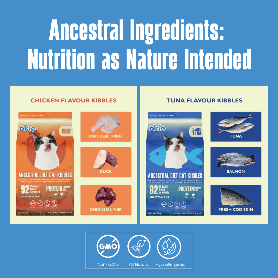 Ancestral Diet Cat Kibbles
