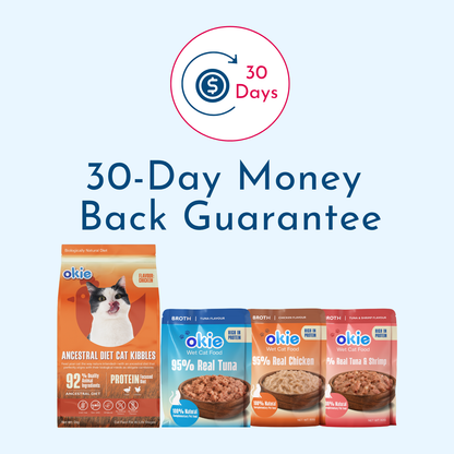 Wet / Dry Food Bundle