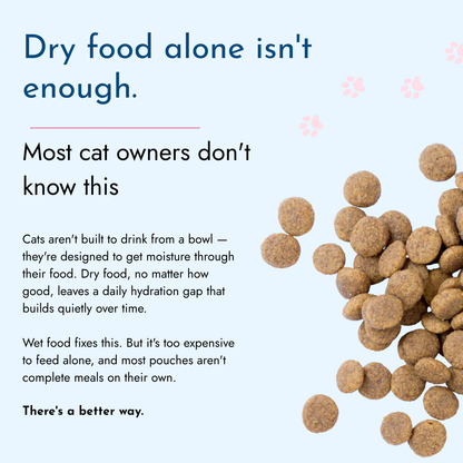 Wet / Dry Food Bundle