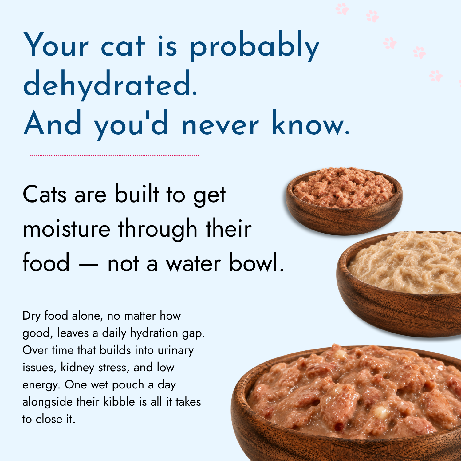 Wet Cat Food