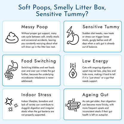 Pre/Probiotic Gut Mix