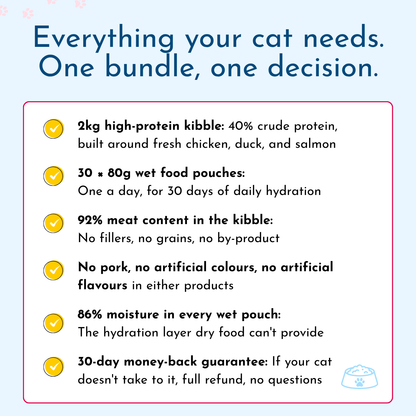 Wet / Dry Food Bundle