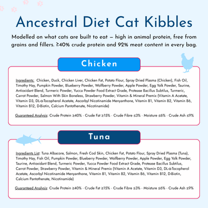 Wet / Dry Food Bundle