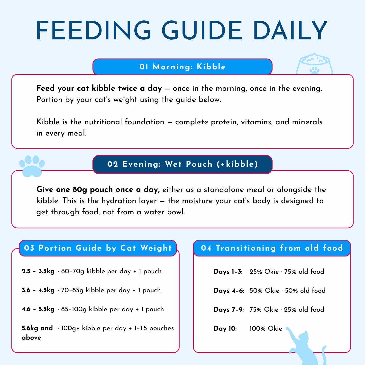Wet / Dry Food Bundle