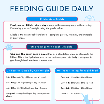 Wet / Dry Food Bundle